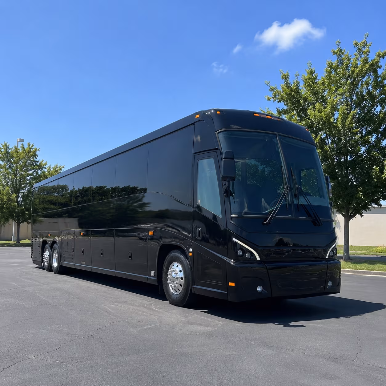 las vegas charters from camarillo one bus one price zero caravan chaos